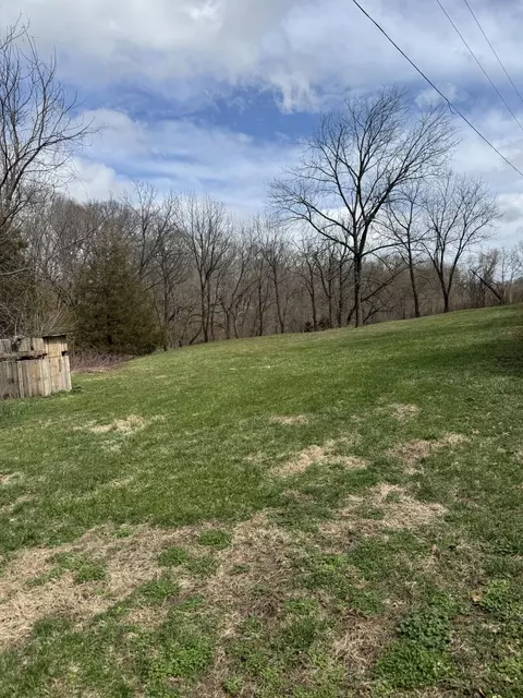 Exterior - 421 Farm Road 2160, Exeter, MO 65647 photo 8 of 13