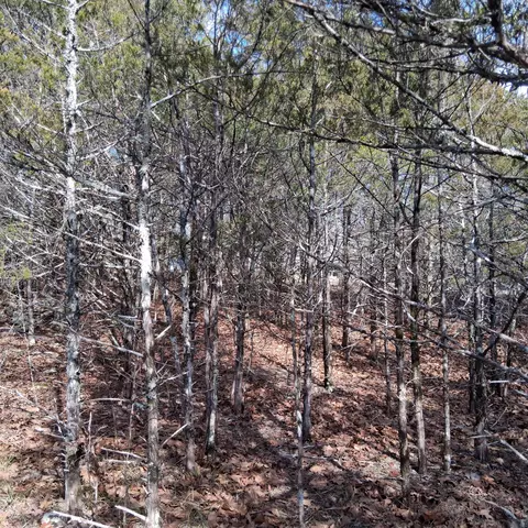 000 Greers Ferry Rd, Branson, MO 65616 photo 30