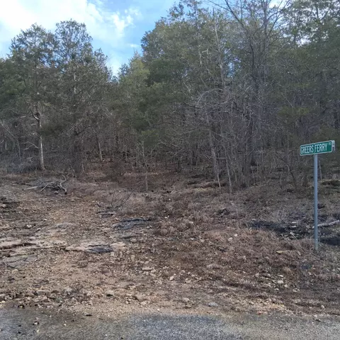 000 Greers Ferry Rd, Branson, MO 65616 photo 4