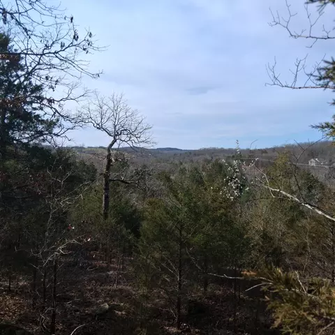 000 Greers Ferry Rd, Branson, MO 65616 photo 3