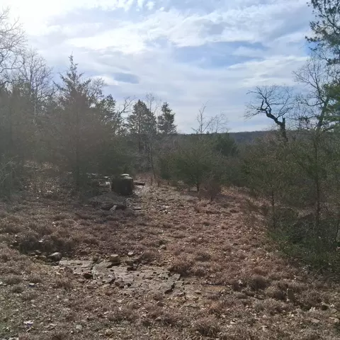 000 Greers Ferry Rd, Branson, MO 65616 photo 21