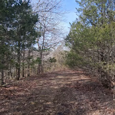 000 Greers Ferry Rd, Branson, MO 65616 photo 18