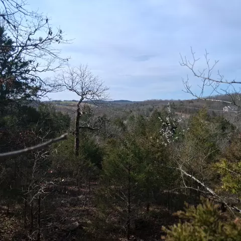 000 Greers Ferry Rd, Branson, MO 65616 photo 20