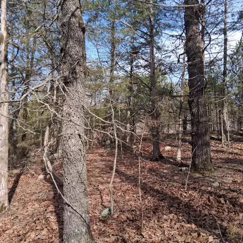000 Greers Ferry Rd, Branson, MO 65616 photo 26