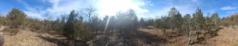 000 Greers Ferry Rd, Branson, MO 65616 photo 13