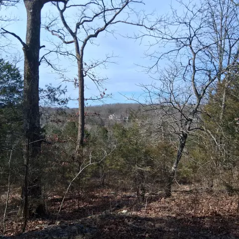 000 Greers Ferry Rd, Branson, MO 65616 photo 32