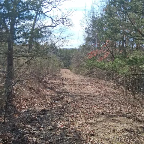 000 Greers Ferry Rd, Branson, MO 65616 photo 19