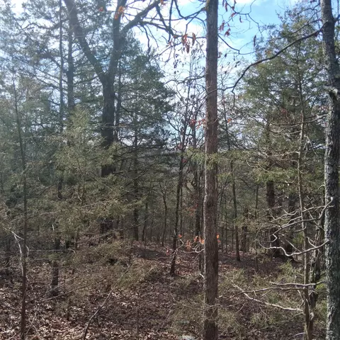 000 Greers Ferry Rd, Branson, MO 65616 photo 25