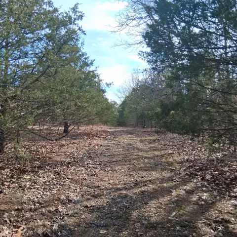 000 Greers Ferry Rd, Branson, MO 65616 photo 27