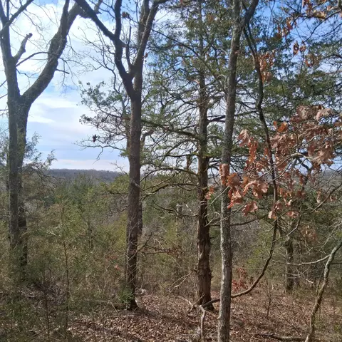 000 Greers Ferry Rd, Branson, MO 65616 photo 24