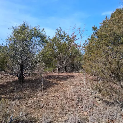 000 Greers Ferry Rd, Branson, MO 65616 photo 17