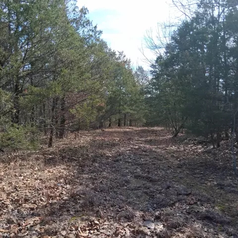 000 Greers Ferry Rd, Branson, MO 65616 photo 28
