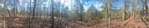 000 Greers Ferry Rd, Branson, MO 65616 photo 11