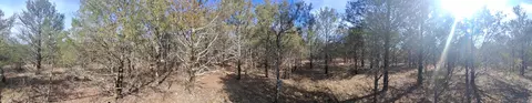 000 Greers Ferry Rd, Branson, MO 65616 photo 12