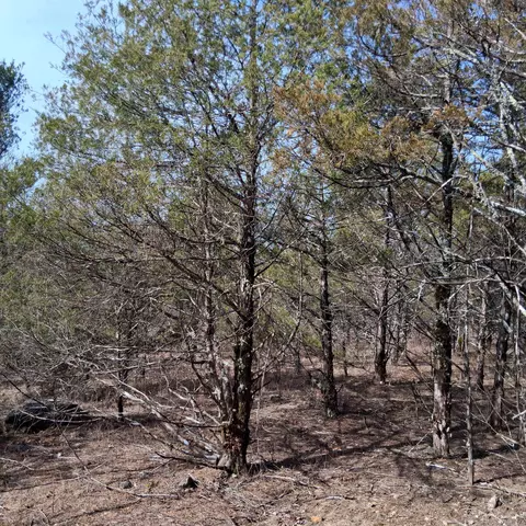 000 Greers Ferry Rd, Branson, MO 65616 photo 31