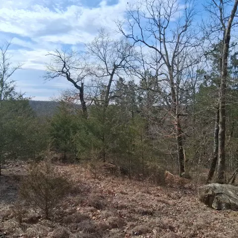 000 Greers Ferry Rd, Branson, MO 65616 photo 6