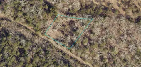000 Greers Ferry Rd, Branson, MO 65616