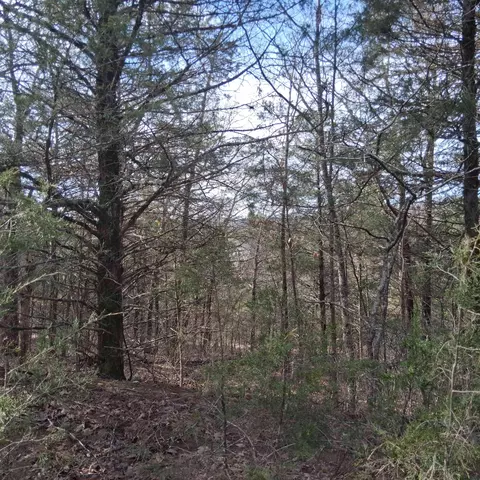 000 Greers Ferry Rd, Branson, MO 65616 photo 5