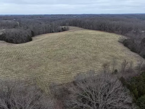 000 Warner Rd, Crane, MO 65633 photo 3