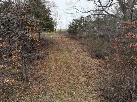 000 Warner Rd, Crane, MO 65633 photo 11