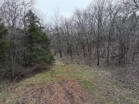 000 Warner Rd, Crane, MO 65633 photo 8