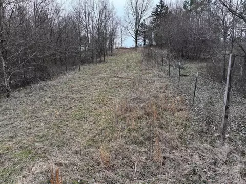 000 Warner Rd, Crane, MO 65633 photo 22