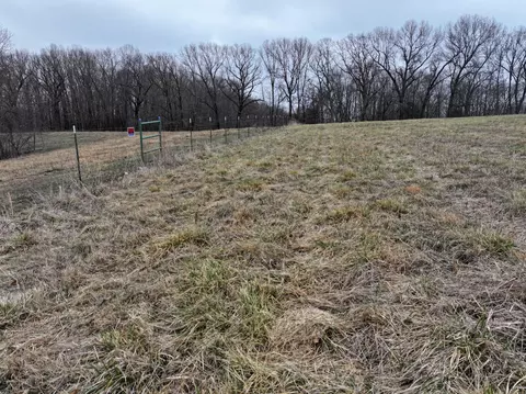 000 Warner Rd, Crane, MO 65633 photo 19