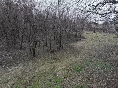 000 Warner Rd, Crane, MO 65633 photo 7