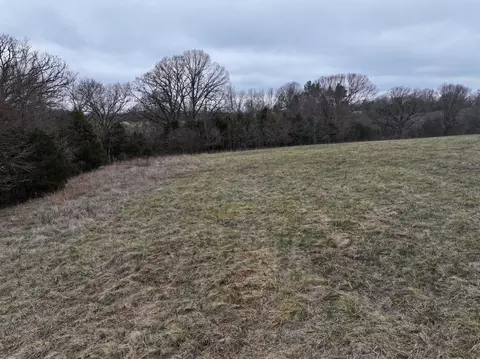 000 Warner Rd, Crane, MO 65633 photo 20