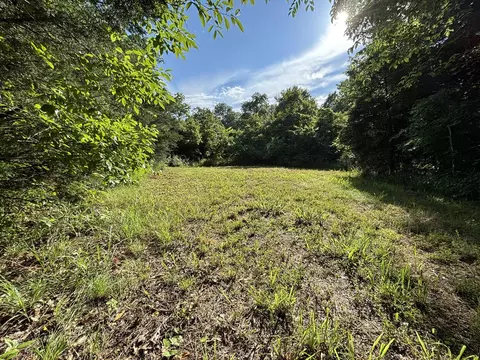 000 Private Drive County Road 803b, Gainesville, MO 65655