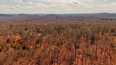 000 Private Drive County Road 803b, Gainesville, MO 65655