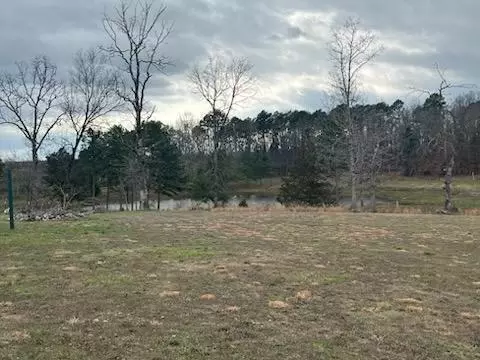 View/Area - 8103 County Road 455, Birch Tree, MO 65438 photo 1 of 1