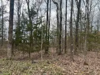 Other - 8103 County Road 455, Birch Tree, MO 65438 photo 12 of 21