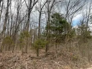 Other - 8103 County Road 455, Birch Tree, MO 65438 photo 11 of 21