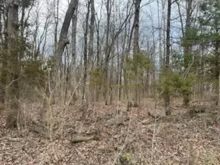 Other - 8103 County Road 455, Birch Tree, MO 65438 photo 13 of 21