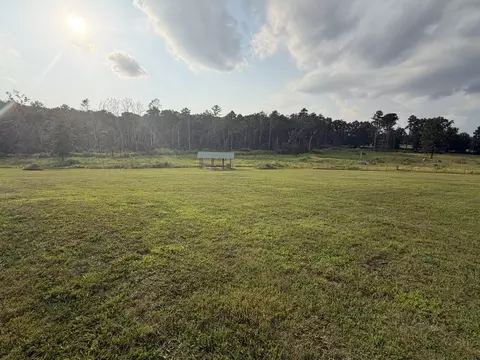Exterior - 8103 County Road 455, Birch Tree, MO 65438 photo 8 of 14