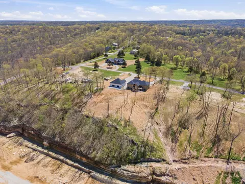 View/Area - 170 Riverpointe Vw, Ozark, MO 65721 photo 7 of 11