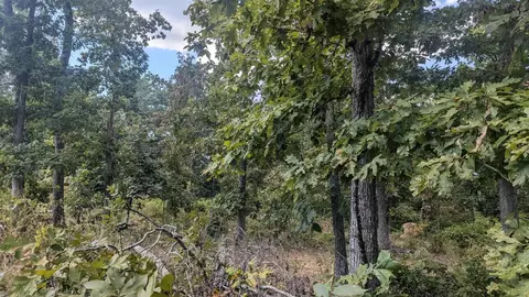 tbd County Road 426, Ellington, MO 63638 photo 8