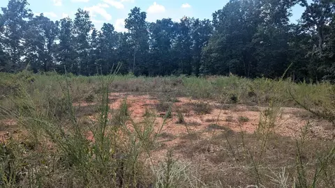 tbd County Road 426, Ellington, MO 63638 photo 6