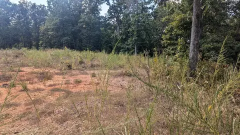 tbd County Road 426, Ellington, MO 63638 photo 5