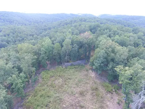tbd County Road 426, Ellington, MO 63638 photo 4