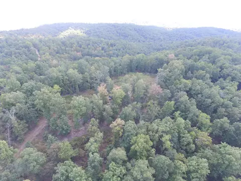 tbd County Road 426, Ellington, MO 63638 photo 3