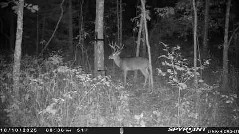 tbd County Road 426, Ellington, MO 63638 photo 11