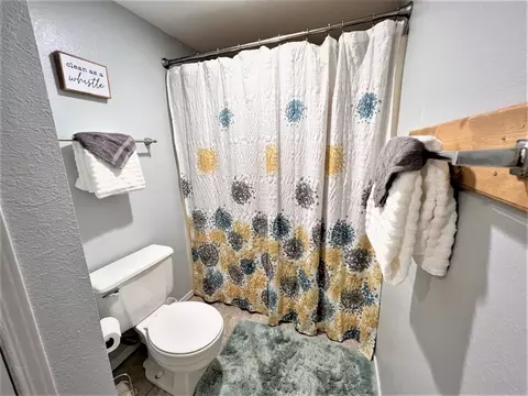Bath - 19 Goldfinch Dr #2, Branson, MO 65616 photo 7 of 9