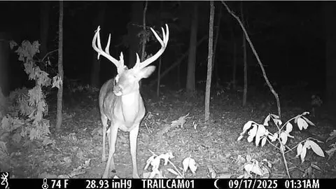 Other - 1307 Route Af, Ava, MO 65608 photo 17 of 19