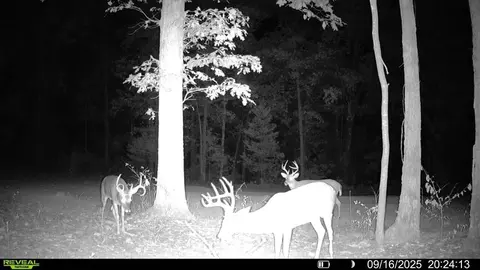 Other - 1307 Route Af, Ava, MO 65608 photo 16 of 19