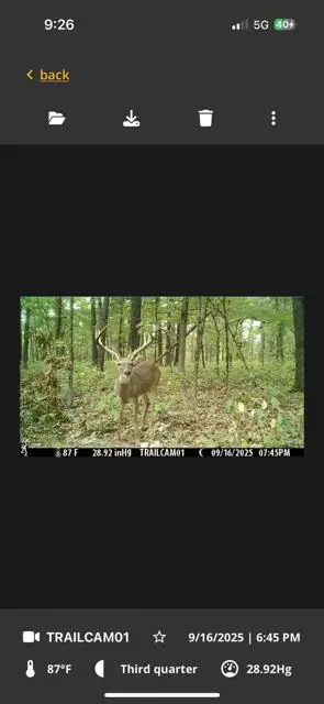 Other - 1307 Route Af, Ava, MO 65608 photo 15 of 19