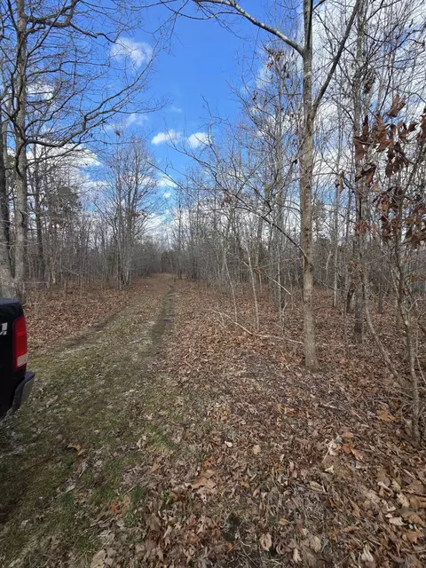 000 County Road T-435, Birch Tree, MO 65438 photo 6