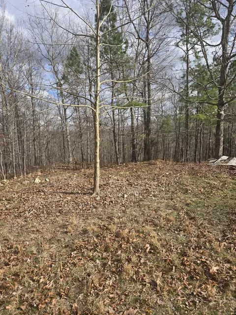 000 County Road T-435, Birch Tree, MO 65438 photo 16
