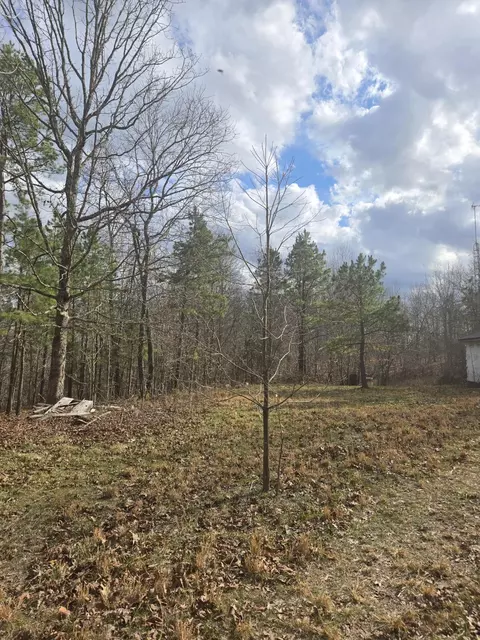 000 County Road T-435, Birch Tree, MO 65438 photo 2